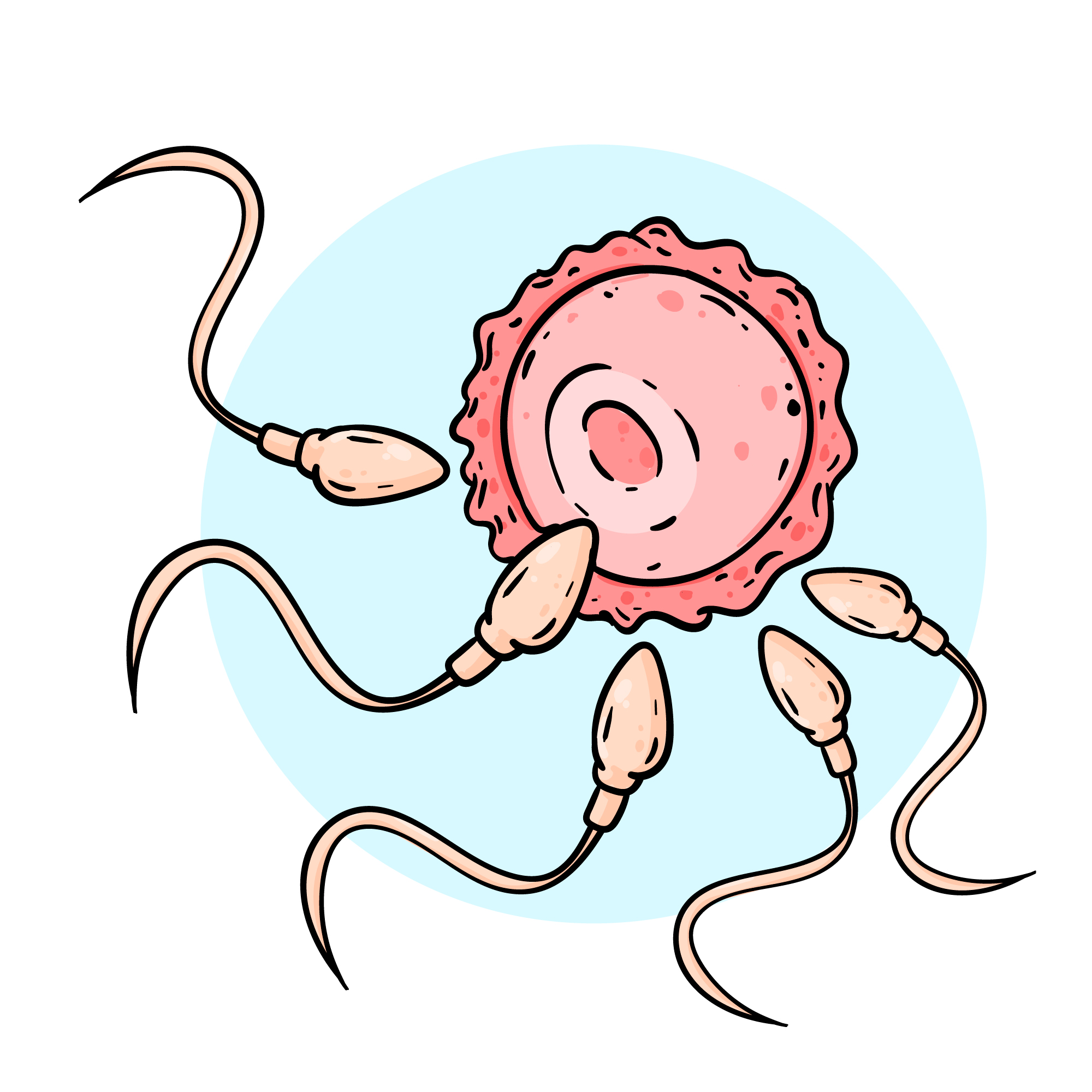 Kesehatan Reproduksi, Apa itu?